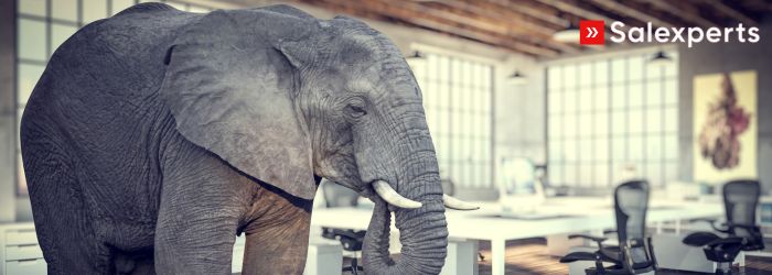 Seo-en-las-imagenes-elefante-en-empresa