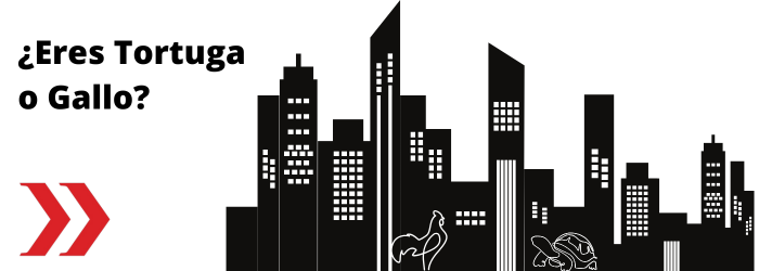 Seo-en-las-imagenes-lider-estrategia